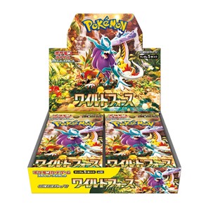 Japanse Pokémon Boxen | Deckkingdom